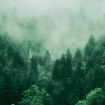 footer cta 150x150.jpg