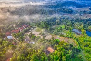 Beautiful aerial view of a misty countryside with lush greenery and agricultural fields.