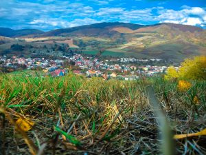 Serene view of a quaint village nestled within lush rolling hills and vibrant grass, bathed in daylight.