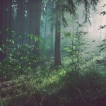 why choose cta 150x150.jpg