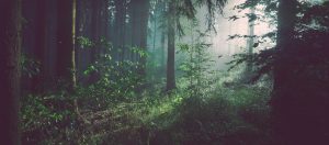 why choose cta 300x132.jpg